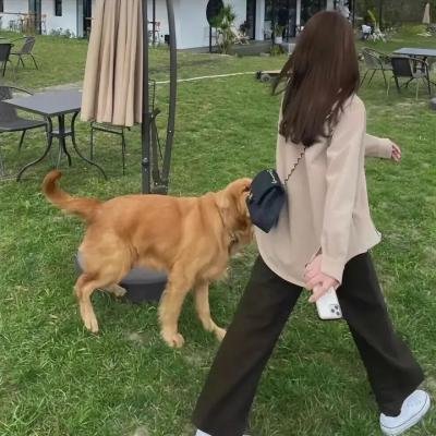 滑板浪子